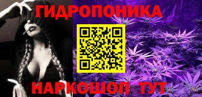 индика Балахна