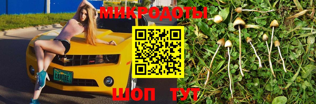 Жигулёвск  Галлюциногенные грибы ЛСД  Вход с VPN 